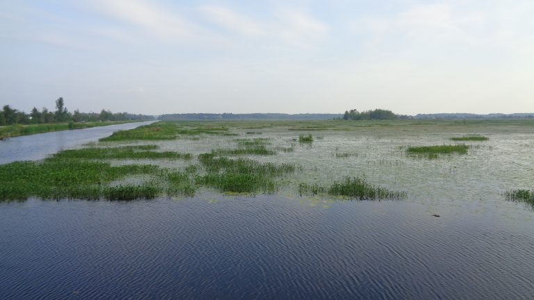 Teal Weekend at the Flats